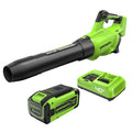 40V Gen 2.5 700 CFM Cordless Battery Brushless Leaf Blower, 8.0 Ah Battery and Charger MegaBDM