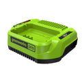 RENEWED 80V 2A Standard Charger MegaBDM