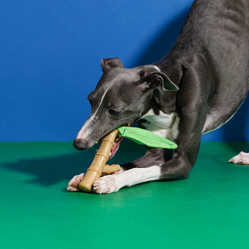 ZEZE Natural Bamboo Chew Toy, Durable Teething Toy for Puppies Kittens MegaBDM