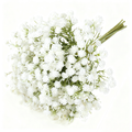 1Pc 12.59in/32cm Artificial Flowers, Artificial Flowers Artificial Bulk, Real Touch Artificial Gypsophila Bouquet for Wedding Floral Arrangement Party Decor (White) MegaBDM