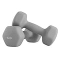 Joyfurno Set of 2 Neoprene Hex Dumbbells, 2 x 5kg, with Dumbbells Bars, Home Training, Grey MegaBDM