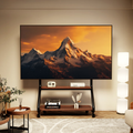 CNTSLNB Mobile TV Stand + TV Art Stand + 32-75 Inch MegaBDM