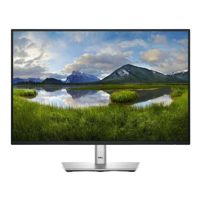 DELL 24 Monitor - P2425, 61cm (24.0") MegaBDM