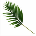 Candlelight Artificial Palm Leaf Frond Green 65cm MegaBDM