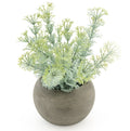 Candlelight Artificial Dwarf Ambulia in Concrete Effect Pot 16cm MegaBDM
