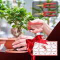 FLORA GUARD 2pcs Bonsai Pruning Shears - Sharp Stainless Steel Garden Scissors, Micro-Tip Pruning Snip with Straight & Curved Blade, Gardening Gift Box Packaging, for Arranging Flower, Trimming Plant MegaBDM