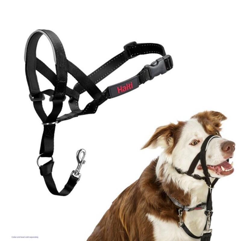 CoA Halti Headcollar Size 2 Black MegaBDM