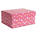 RHS Bloom Cardboard Storage Box Small MegaBDM