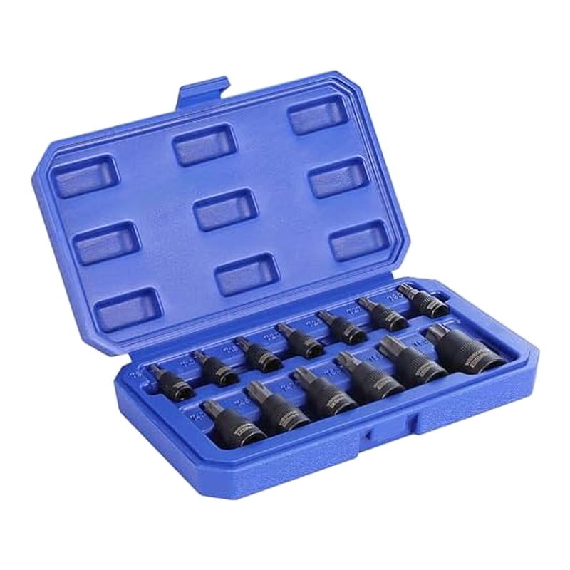 WORKPRO 13-Piece Torx Socket Set, T8-T60 S2 Steel Bits and Chrome Vanadium Steel Sockets 1/4", 3/8" and 1/2", with Storage Box MegaBDM