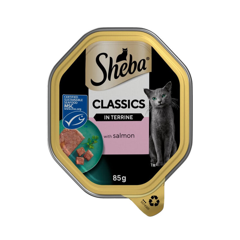 Sheba Classics Wet Cat Food Tray Salmon in Terrine 85g MegaBDM