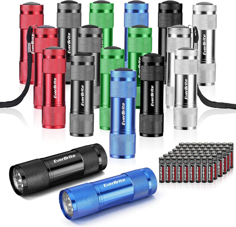 EverBrite 18-Pack LED Mini Pocket Torch, Small Keyring Torches Flashlight, Ideal for Kids Camping Hiking Traveling Cycling Outdoors Party, Batteries Included MegaBDM