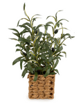 Candlelight Artificial Olive Tree in Wicker Basket 44.5cm MegaBDM