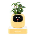 Summer Gift to Beautify Your Home – Ivy AI Smart Plant Pot Robot, Interactive Facial Expressions, Intelligent Plant Care, Home Decor for Busy People, Shows Plant Emotions (Lemon Yellow) MegaBDM
