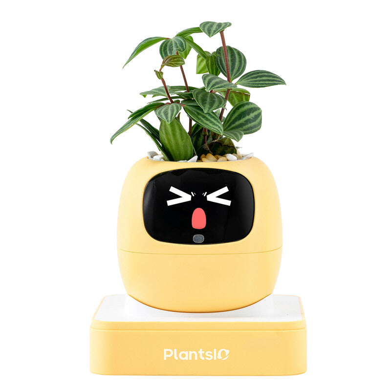 Summer Gift to Beautify Your Home – Ivy AI Smart Plant Pot Robot, Interactive Facial Expressions, Intelligent Plant Care, Home Decor for Busy People, Shows Plant Emotions (Lemon Yellow) MegaBDM