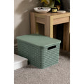 Strata Urban Storage Basket & Lid 24L Lily Pad Green MegaBDM