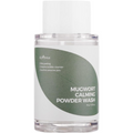Isntree Mugwort Calming Powder Wash 15g MegaBDM