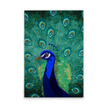 Made In Germany - Home Decor Canvas Picture Peacock Painting - Wall Mural In Green And Blue - Canvas Picture On Stretcher Frame