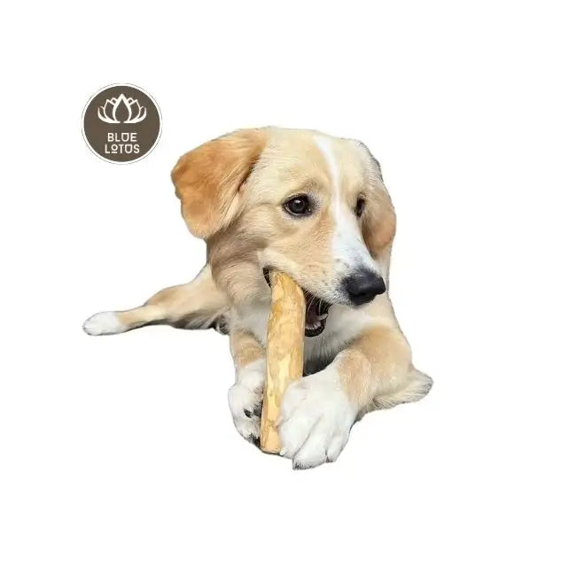 HOT PRODUCT 2025 Natural Coffee Wood Chew Stick For Dogs Safe Non-Toxic Chewing Toy