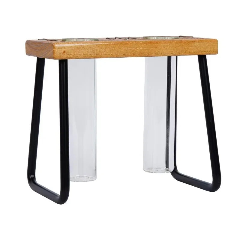 Pioneera Modern Glazed Double Test Tube Glass Vase Wooden Stand Metal Frame Durable Eco-Friendly Lightweight Hydroponic Plant