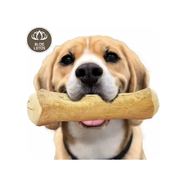 HOT PRODUCT 2025 Coffee Wood Dog Chew Natural Dental Cleaner And Stress Relief Toy