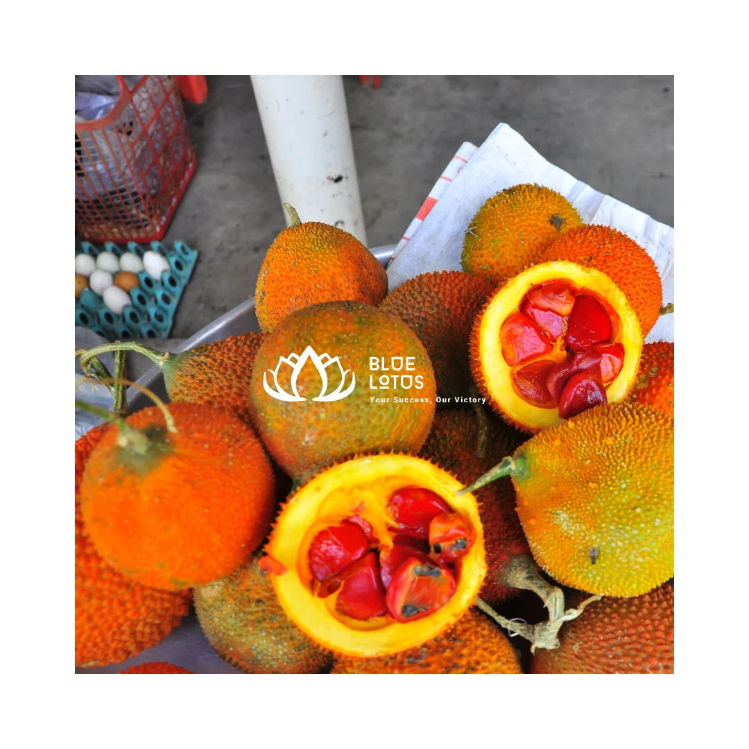 HOT SELLING Frozen Gac Fruit-High Quality Vietnam Supply
