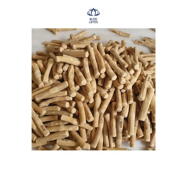Pet Toy Dog Chew Toys for Aggressive Chewers Durable Dog Chew Bones Tough Dog Toys Hani +84  767 550 132