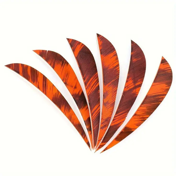 Wholesale Coral Bulk Real Plume White Black Natural Quill Turkey Feathers for DIY Craft Hunting Arrow Archery Fletch Accessory