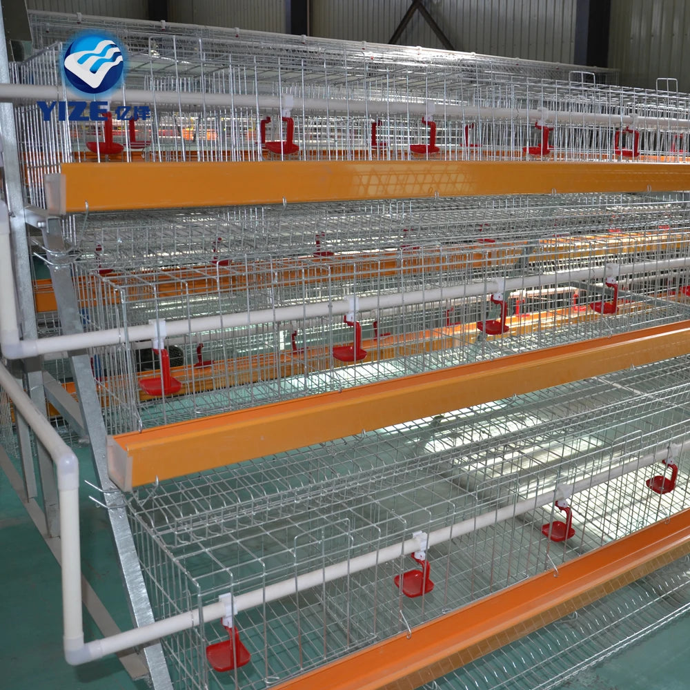 Chicken Coops for Sale Building a Chicken House Layer Cages Price Nest Cage