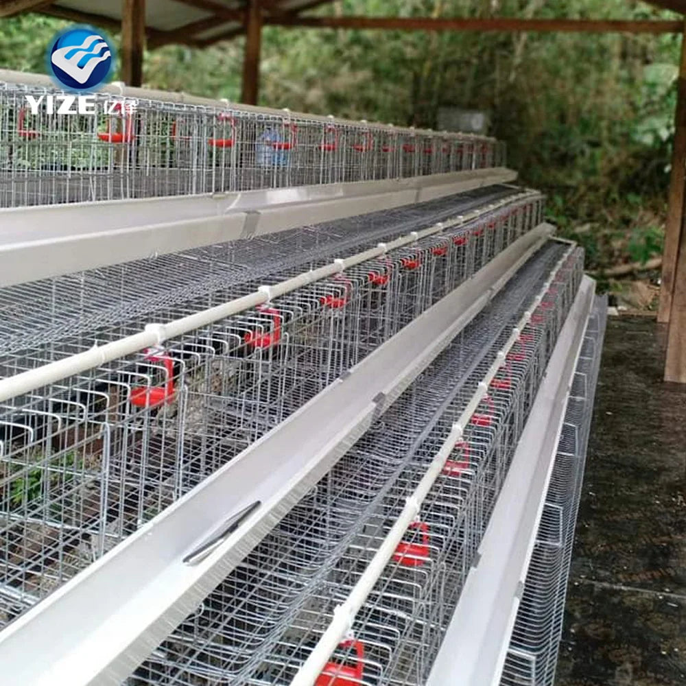 Medium Poultry Coop H Type 5000 Chicken Coop Chicken Layer Cages for Sale House Coop