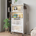 4-Tier Multi-Functional Save Space Kitchen Storage Cabinet with PVC Door Special Display Cabinet for Livingroom