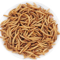 Dried Mealworms for Pet Chicken Food