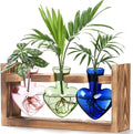 Wholesale Wooden Plant Propagation Station 3 Heart Glass Tubes Modern Design Indoor Use Home Terrarium Vase Propagator Kit