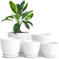 5-Pack Plastic Plant Pots with Saucers Drainage Holes Modern White Planter Set for Indoor Outdoor