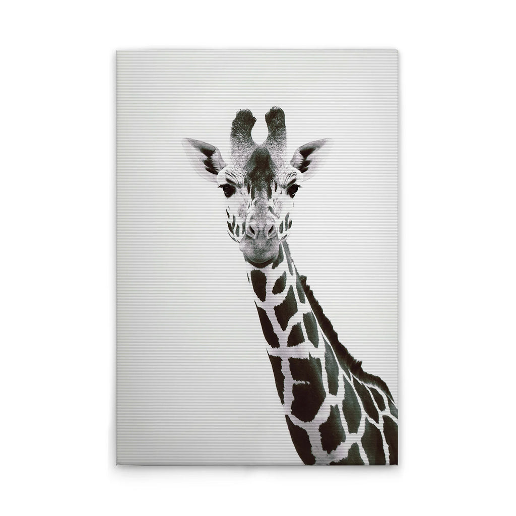 Made In Germany - Home Decor Canvas Picture Animals Giraffe - Wall Mural In Black And White - Canvas Picture On Stretcher Frame