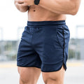 Men's Summer Sports Shorts Mesh Quick-Dry Casual Running Beach Shorts