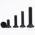 304 316 Stainless Steel Black Oxide Metric DIN7991 Hex Socket Countersunk Flat Head Screws M3-M8