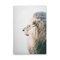 Made in Germany Modern Animal Lion Wall Mural on Canvas with Wooden Stretcher Frame in White Cream