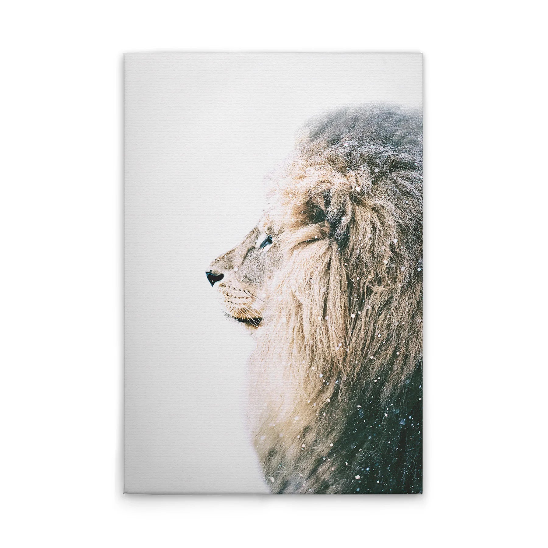 Made in Germany Modern Animal Lion Wall Mural on Canvas with Wooden Stretcher Frame in White Cream