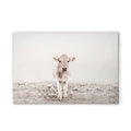 Made In Germany - Home Decor Canvas Picture Animals Cow Beige Cerme - Wall Mural In White And Cream - Stretcher Frame Art