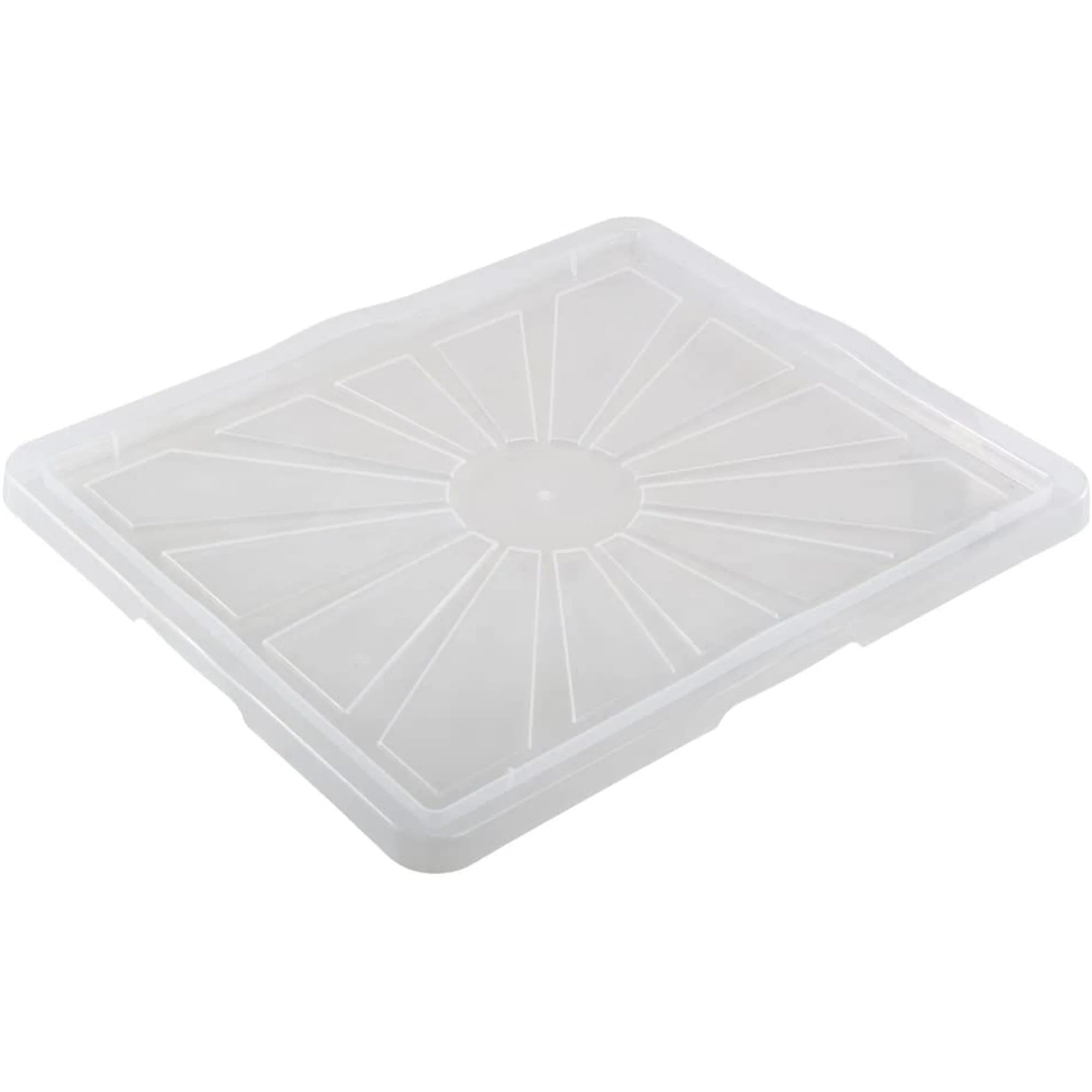Franz Storage Box Lid Size: XXL 52 x 43 cm Transparent