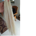100% Natural Combed Banana Fiber Available in Lengths Till 100 CM Ideal for Research Educational and Technical Applications