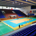 Enlio Pro 7.0mm PVC Volleyball and Handball Flooring -  Rain Drop Texture IHF Approved Shock Absorption & Ball Bounce Control