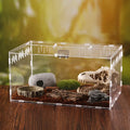 Modern Fashion Acrylic Reptile Insect Terrarium Pet Feeding Case Sliding Magnetic Lid with Air Vent