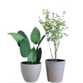 Home Decorative Oatmeal Europe Style Polyresin Plastic Flower Pot Durable Eco-friendly Epoxy Coated Carton Box Indoor Garden