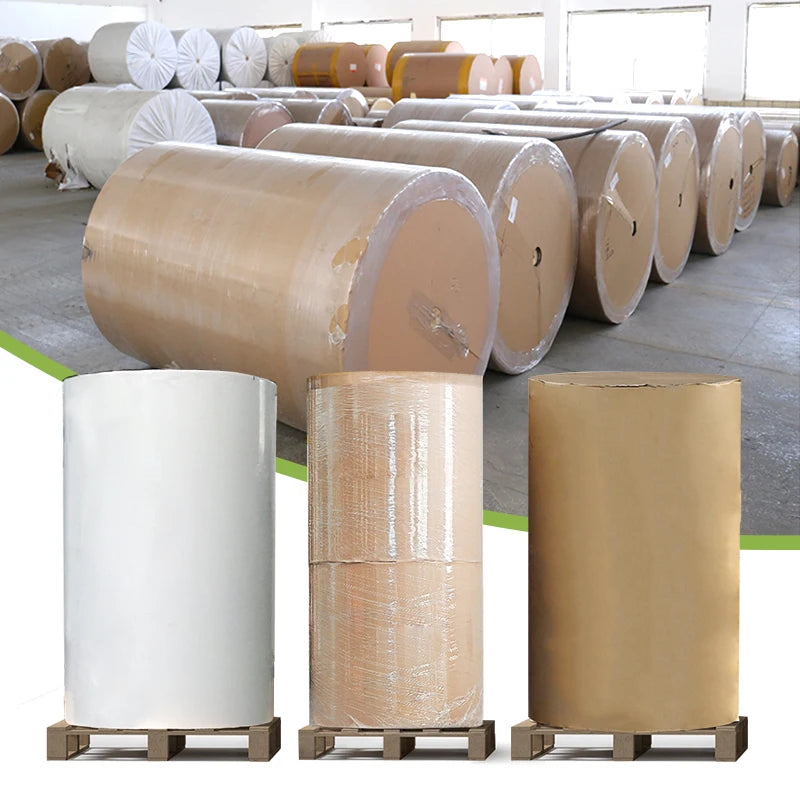 Free Sample From Coating Mill Thermal Paper Machinery Till Paper Rolls Jumbo Roll Thermal Paper for Factory