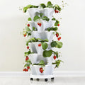 Three-Dimensional PP Strawberry Pot Multi-Layer Stacked Three-Petal Flower Cultivation Pot for Home & Garden Use
