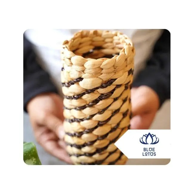 Sustainable Indoor Plant Pot Crafted from Water Hyacinth by Blue Lotus Artisans