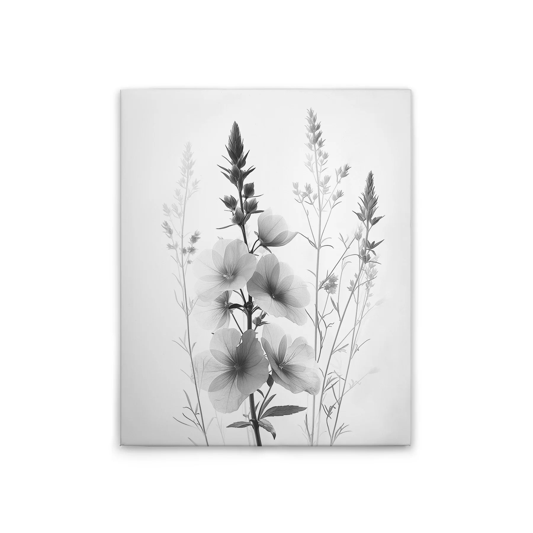 Made In Germany - Home Decor Canvas Picture Flowers Vintage Sw - Wall Painting Mural In Black And Grey - Stretcher Frame Art
