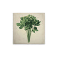 Made In Germany - Home Decor Canvas Picture Kitchen Motif Celery - Wall Painting Mural In Cream And Beige - Stretcher Frame Art