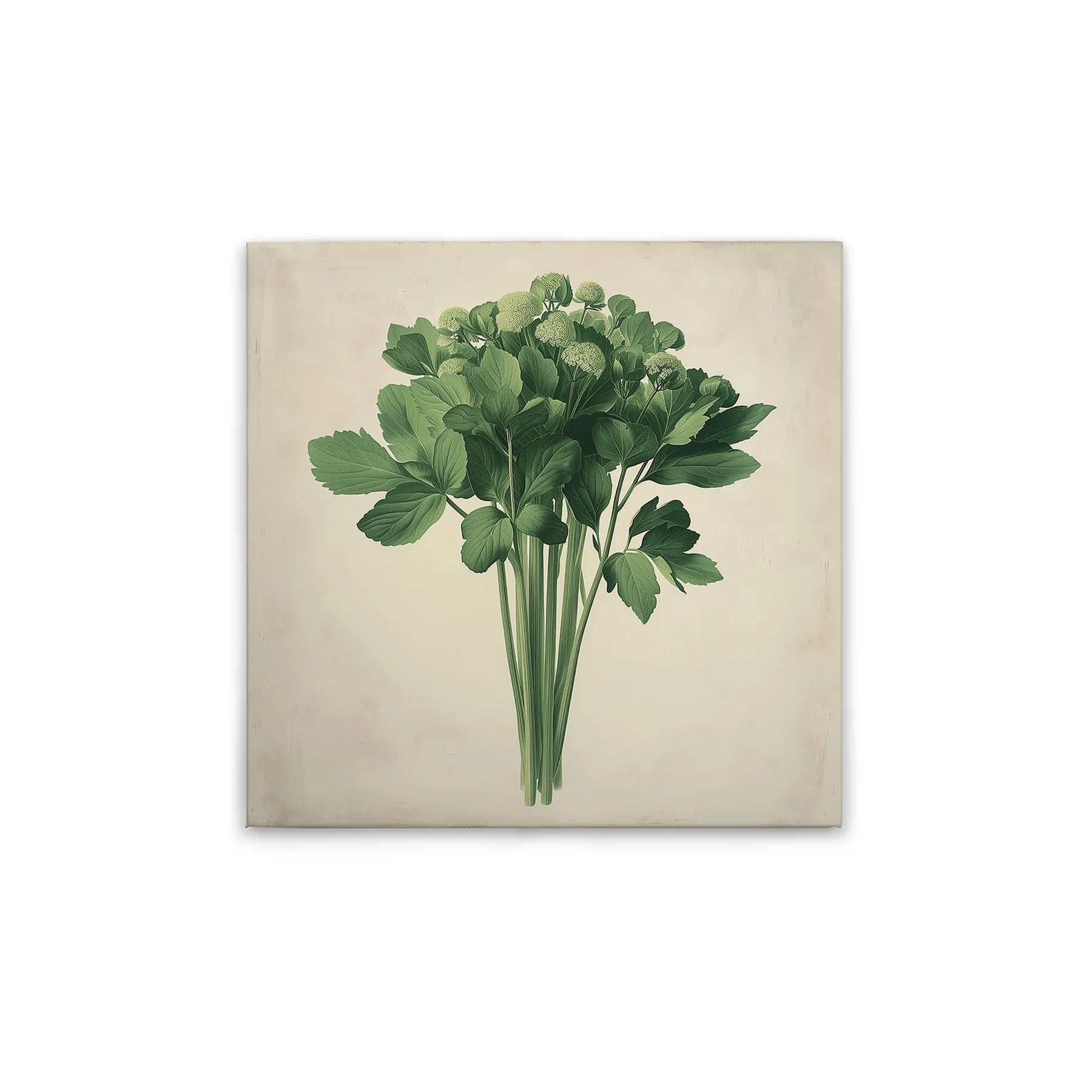 Made In Germany - Home Decor Canvas Picture Kitchen Motif Celery - Wall Painting Mural In Cream And Beige - Stretcher Frame Art